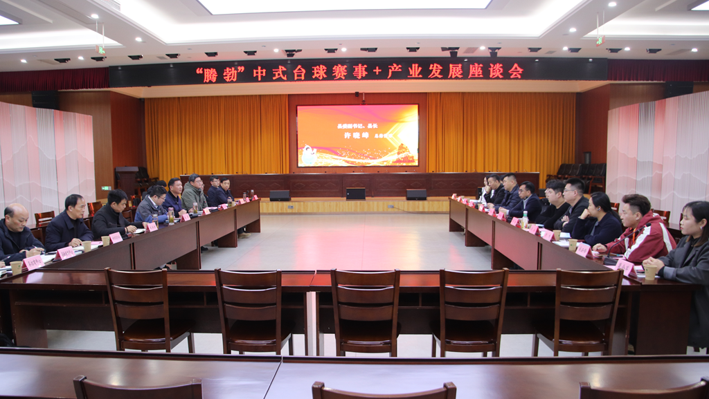 台球赛事全力燃放激情 “滋味宿松”探索融合发展新路径(图6)