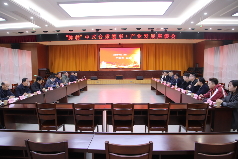 台球赛事燃放激情 “滋味宿松”探索融合发展新路径(图3)