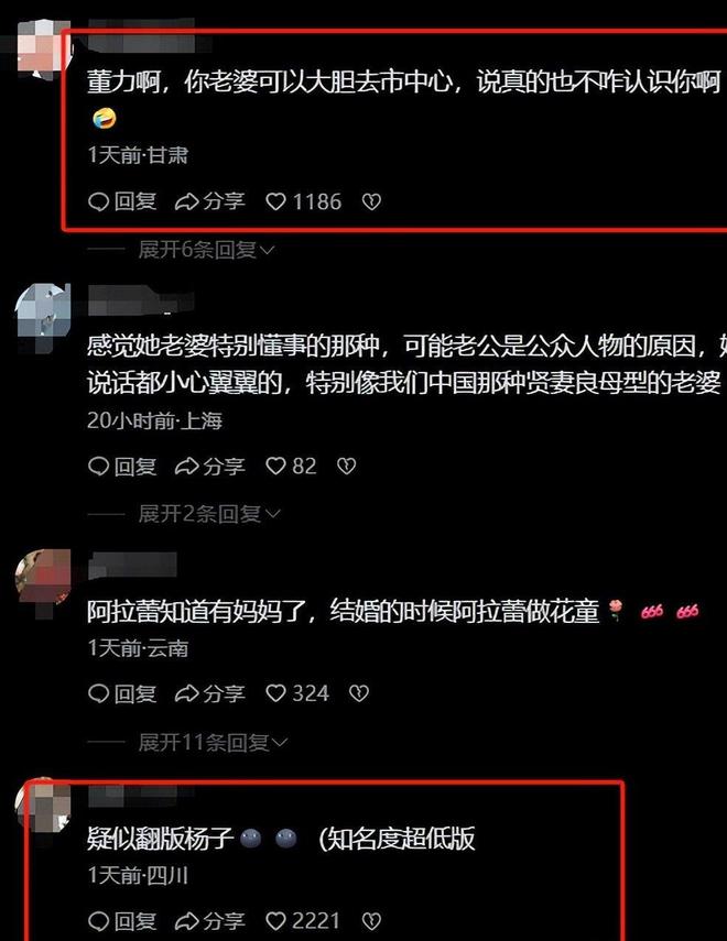 30岁董力“奉子成婚”参加《妻子的浪漫旅行》高颜值撞脸李现(图25)