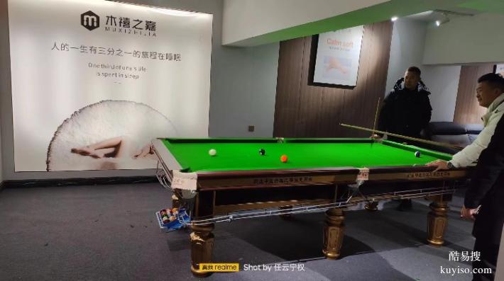 城步苗族自治县桌球配件台球器材(图4)