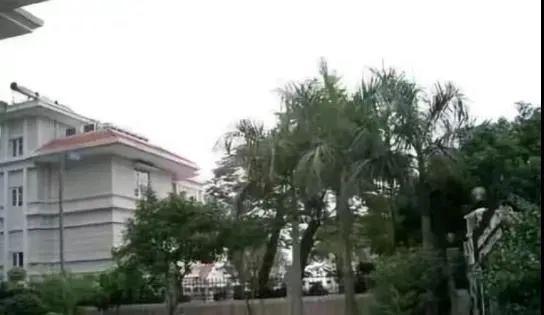 企业家被美女妻子活活捂死在床上两人照片身份曝光：堪称当代潘金莲！(图6)