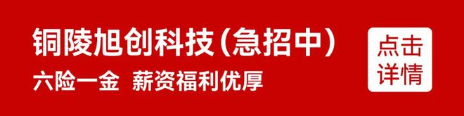 【铜陵头条0401】铜陵就小米SU7事故成立工作组这条高速预计年底通车(图15)