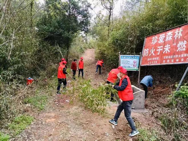 【铜陵头条0401】铜陵就小米SU7事故成立工作组这条高速预计年底通车(图13)