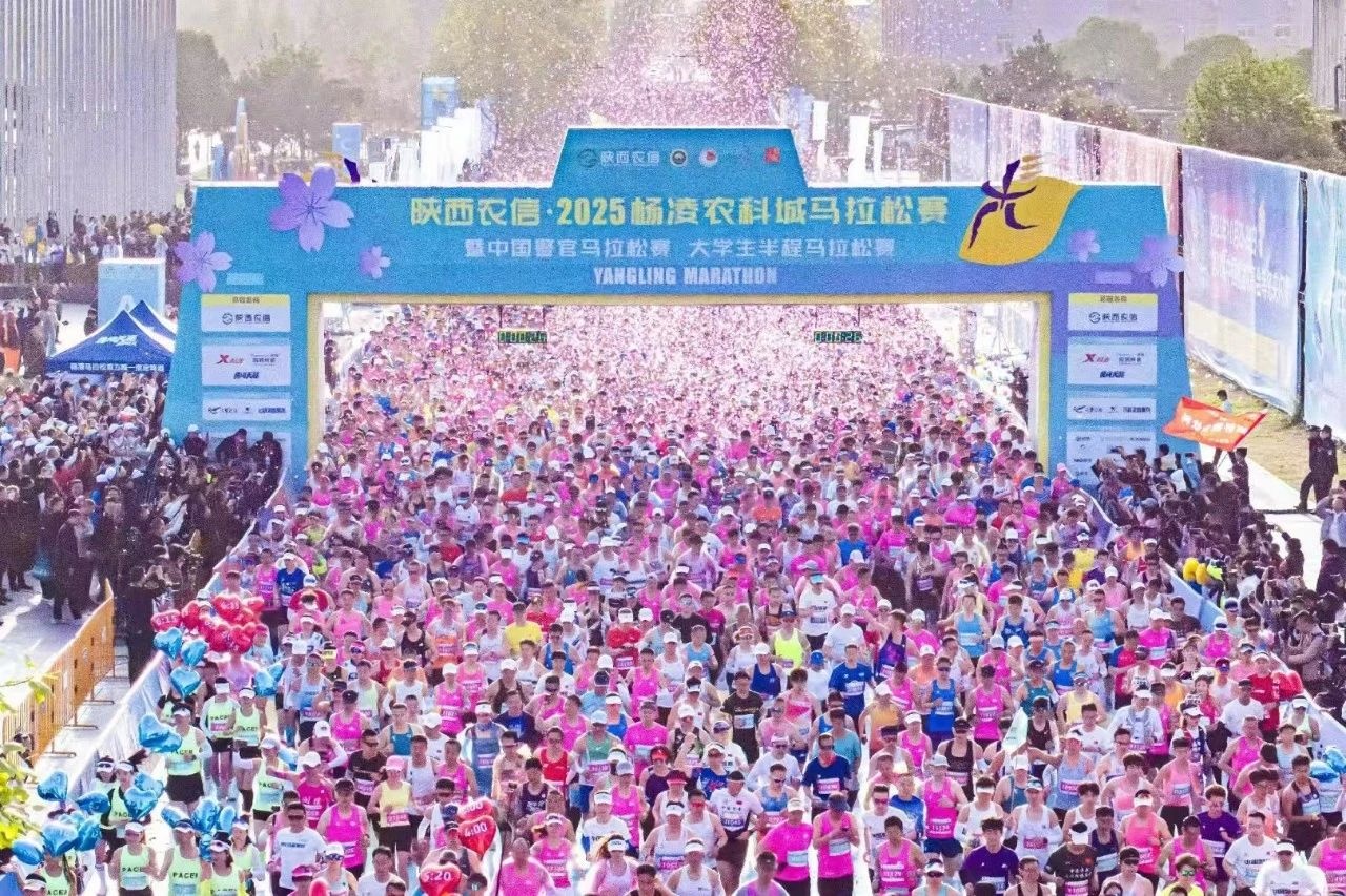陕西杨凌：中国农科城“掘金”赛事经济(图1)