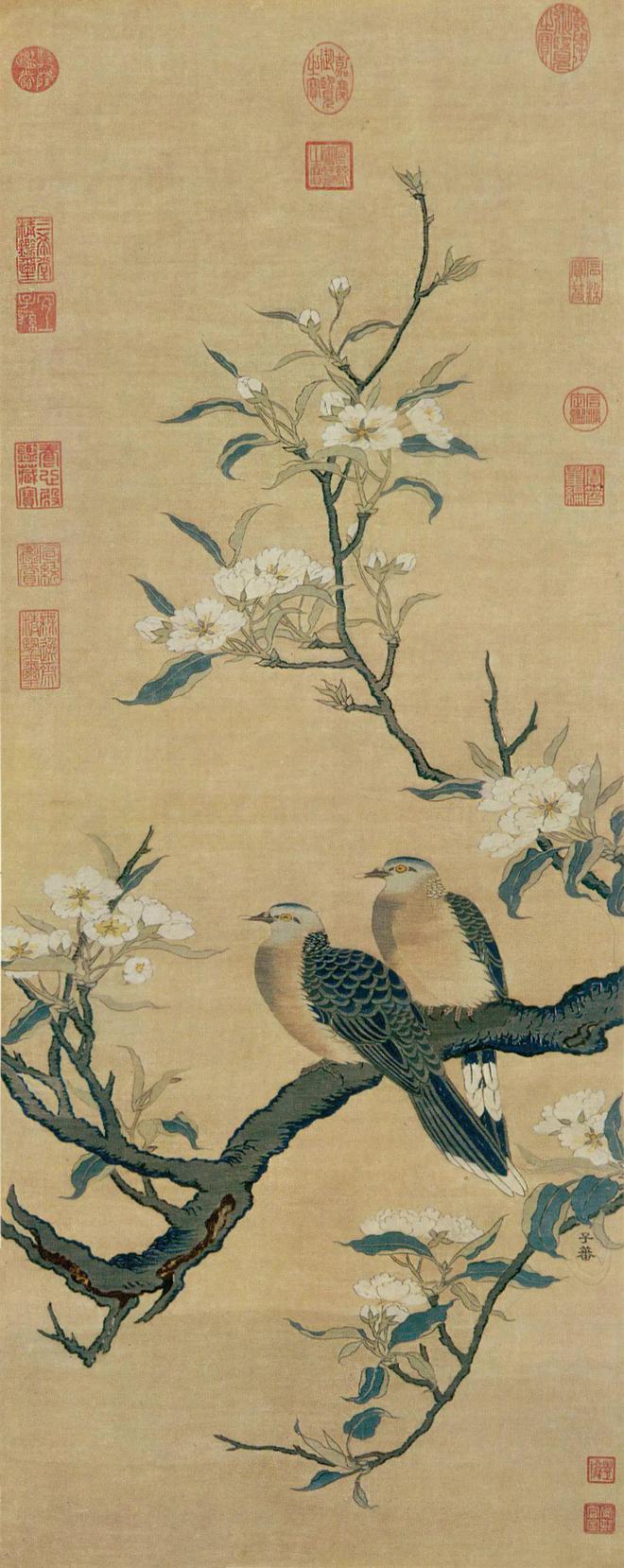跨越南北这场特别的捐赠众望所归(图2)