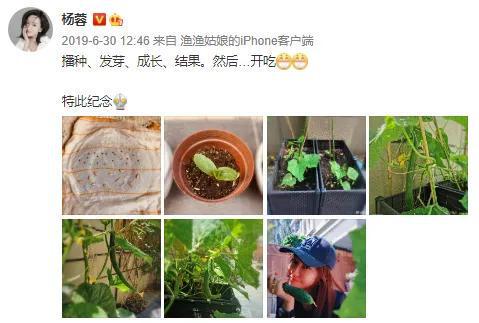 43岁杨蓉维持20年的少女人设演了一位乡村女书记却口碑逆天(图14)