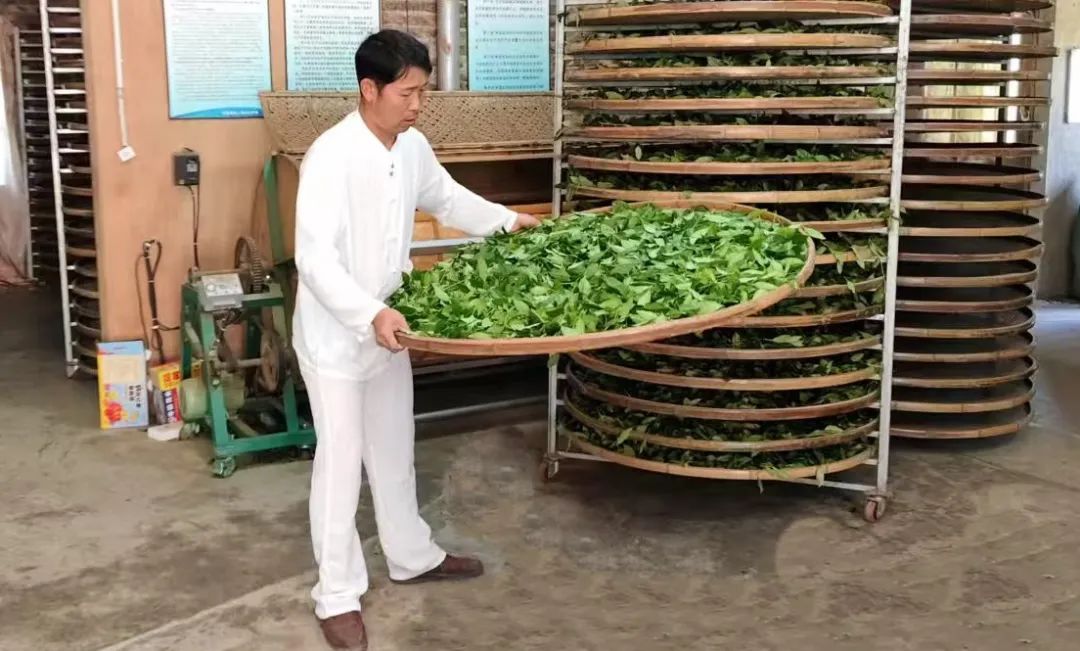 钟添福：坚守生产一线 锻造“赛事好茶”(图1)
