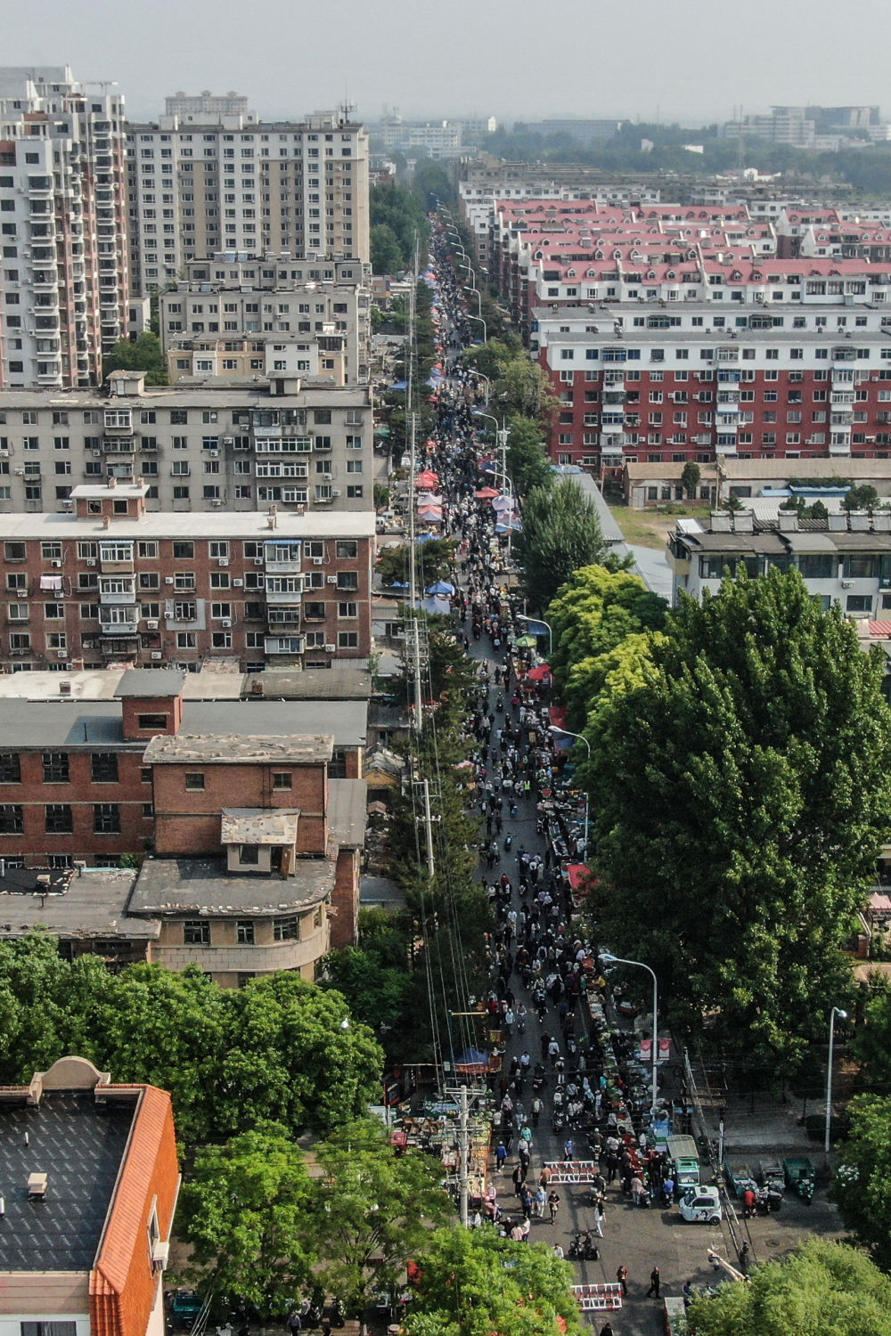 解码文化自信的城市样本｜锦绣之州物华新——解码“山海福地”锦州的文化自信样本(图3)