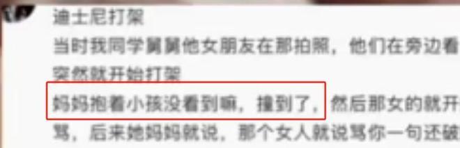 迪士尼打架后续：“兔子姐”衣服被扒目击者发声孩子爸先动手(图12)