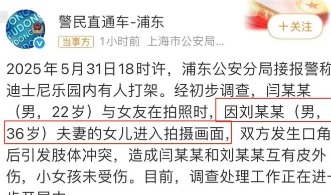 迪士尼打架后续：“兔子姐”衣服被扒目击者发声孩子爸先动手(图20)