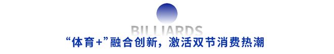 2025淮海（徐州）台球展将于国庆盛大开幕推动消费热潮！(图4)
