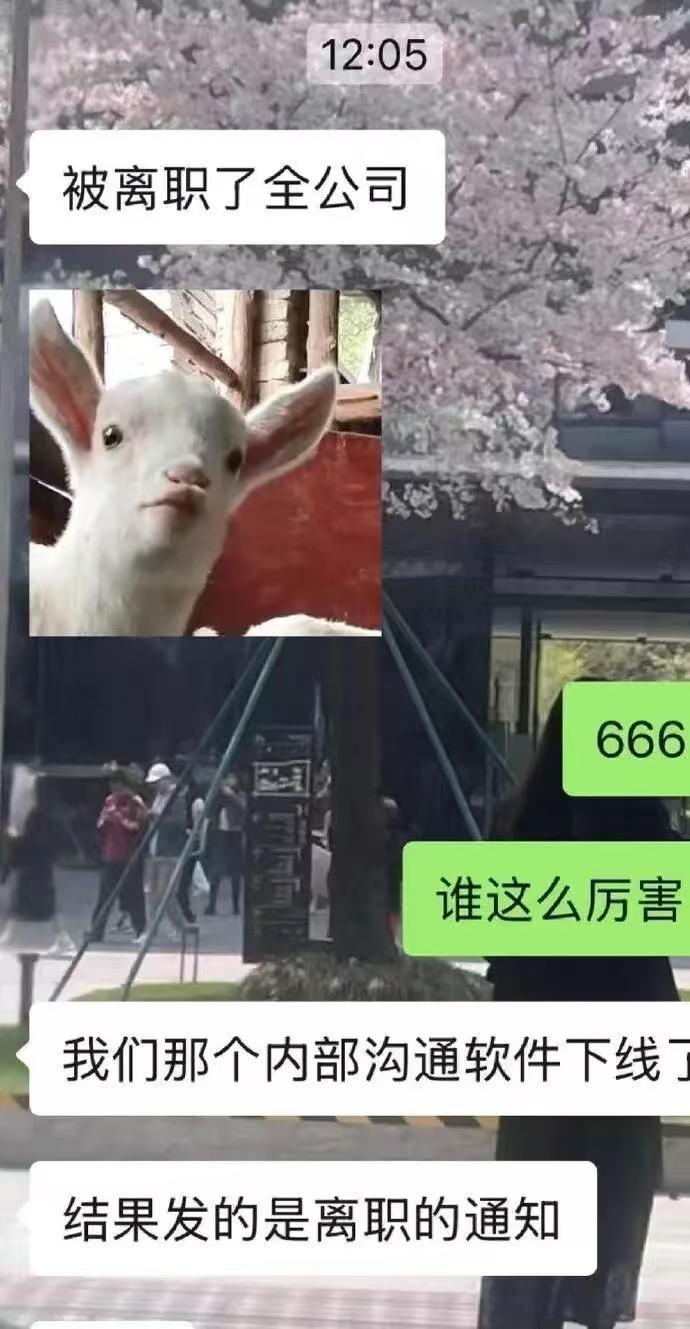 昨夜苹果官宣 iPhone 将搭载最强 AI!马斯克第一个跳出来骂;章泽天开通个人播客一小时收听量破万;曝强脑科技秘密提交香港IPO申请(图2)