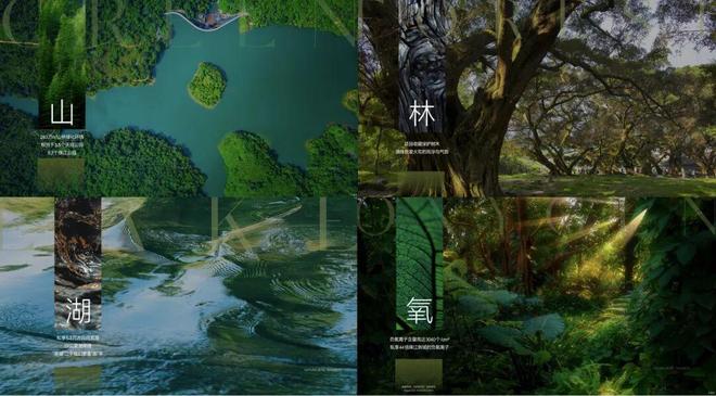 百度热搜NO1®金茂越秀璞樾·墅售楼处官方发布：高性价比品质生活(图11)