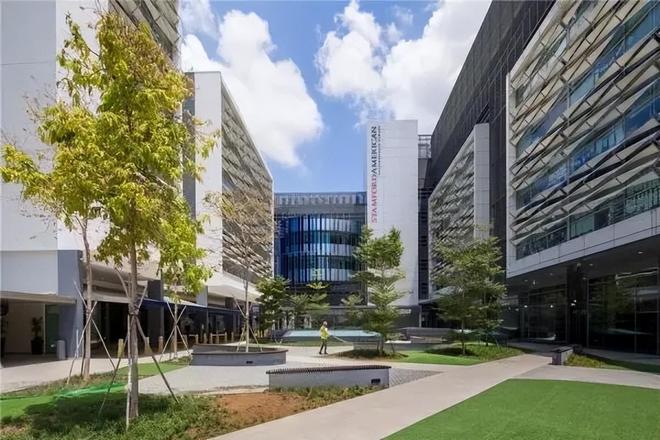 国籍严查打响第一枪！华人被拦机场“双面人”中国坚决不要！(图14)