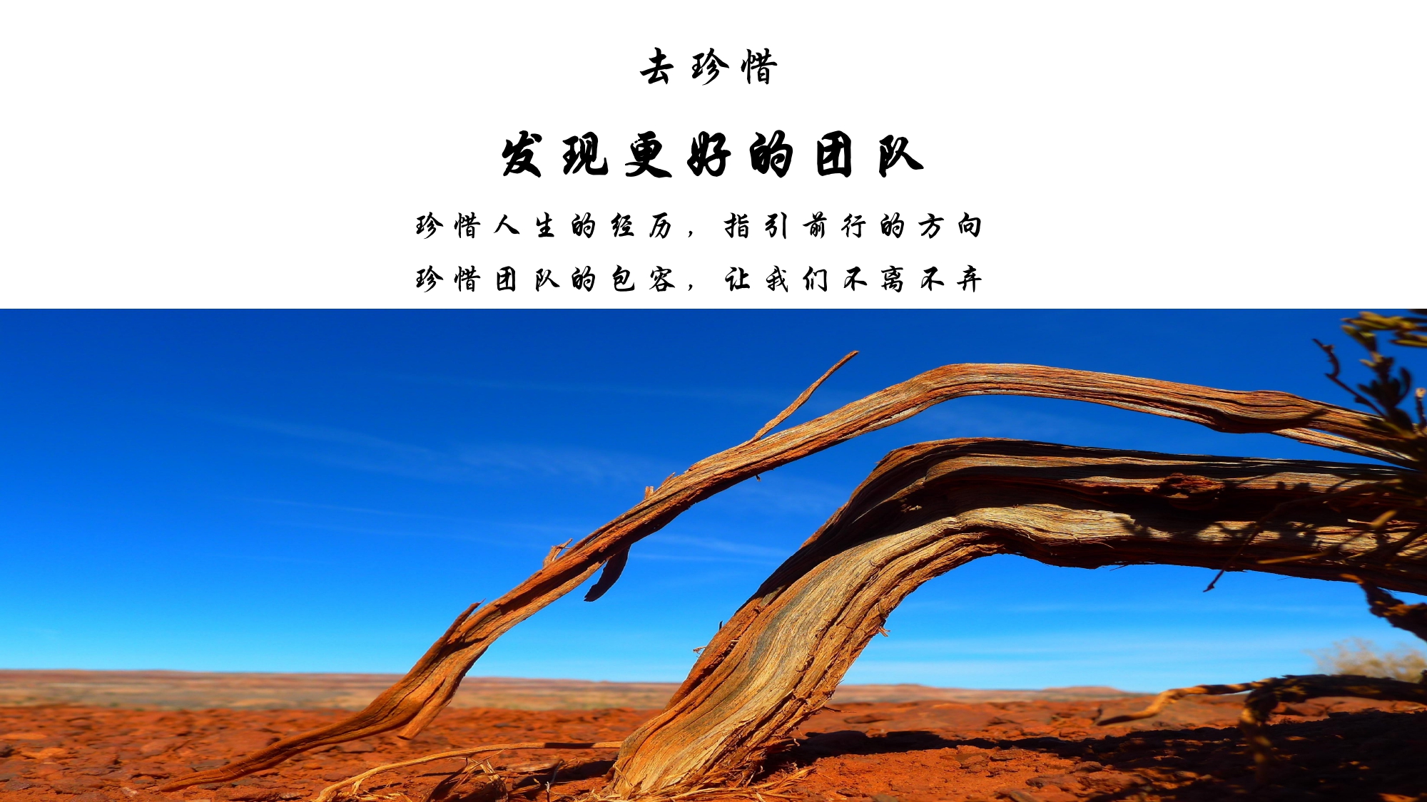 辨析服务优质的戈壁徒步公司哪家性价比高(图2)