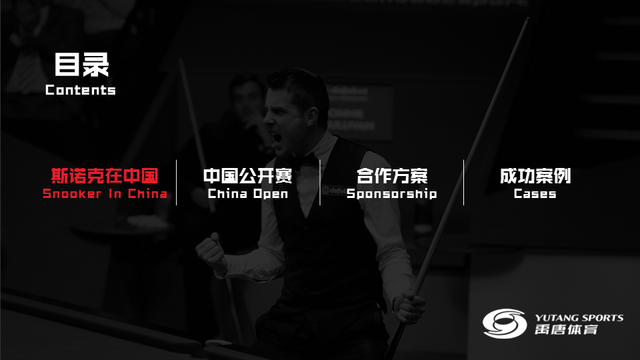 辨析台球桌认证厂家哪个口碑好市场反馈为你解答(图1)